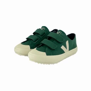 OLLIE CANVAS SMALL